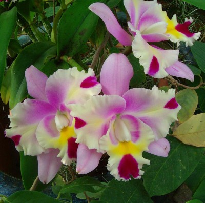 Größenänderung 100D5814.jpg