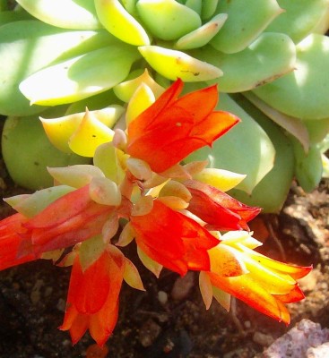 Größenänderung 100D5968.jpg