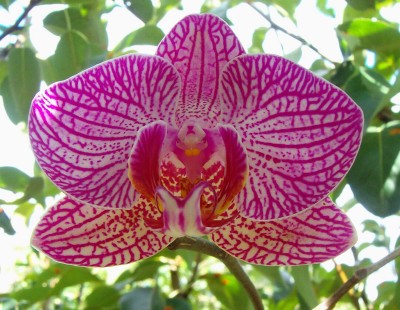 Größenänderung 100D5979.jpg