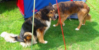 Größenänderung 100D6000.jpg