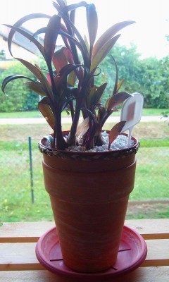 Größenänderung 100D6055.jpg