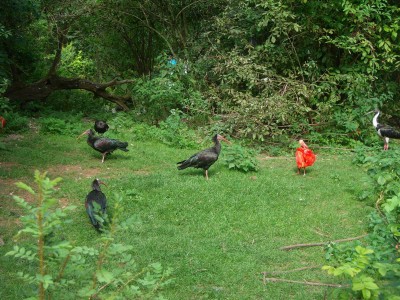 Größenänderung 100D6144.JPG