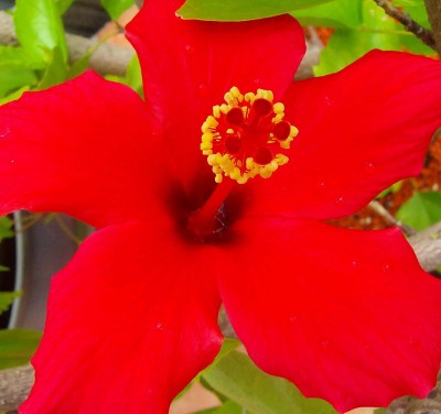 Größenänderung 100D6230.jpg