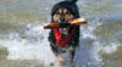 100_4991.jpg