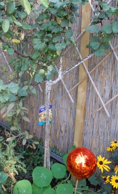 DSC_0170.JPG