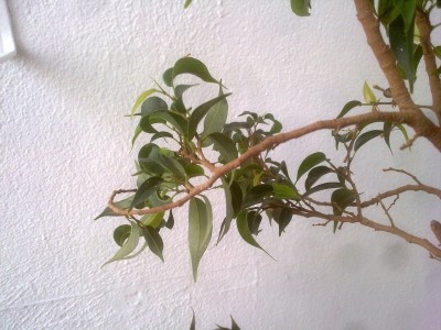 17092011298.jpg
