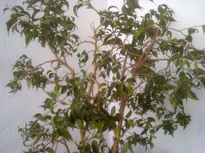 17092011297.jpg