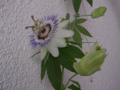 DSC00005.JPG