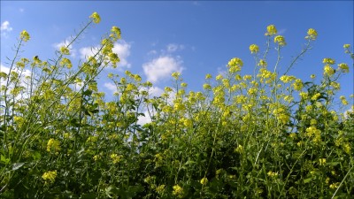 2011-09-14 507com.jpg