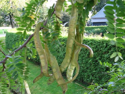 Bild 023.jpg