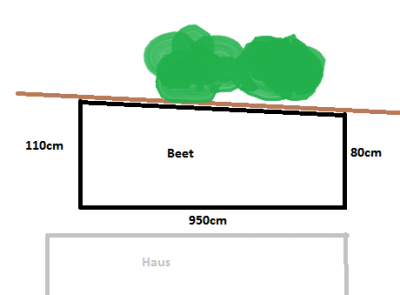 Beet4.png