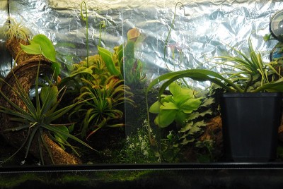 dsc_7997_Terrarium.jpg
