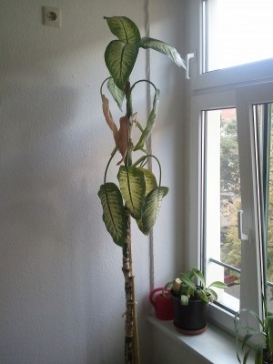 2011-09-22 15.16.24.jpg