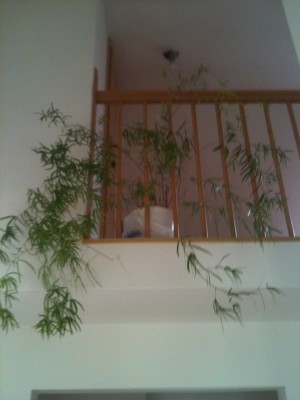 Foto 3.JPG