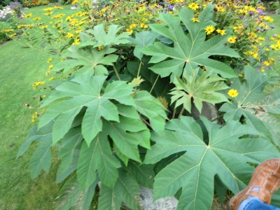 05.September 2011 (57)_800x800_300KB.jpg