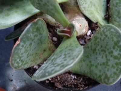 P1110391.JPG