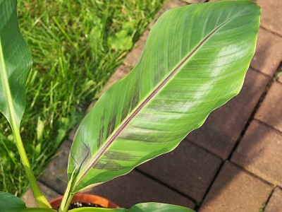 P9234354.jpg