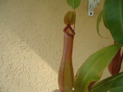 DSC01171.JPG