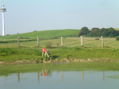 teichprojekt 001.JPG