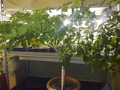 26092011503.jpg