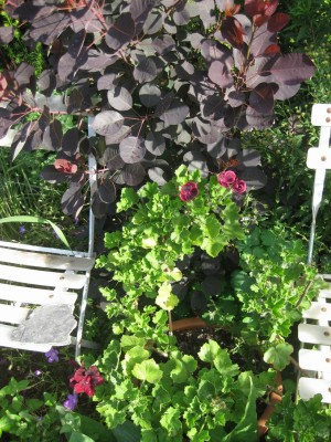 Größenänderung IMG_3002.JPG