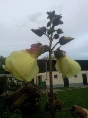 Foto006_001.jpg