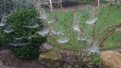 DSCF1138.jpg