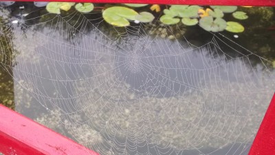 DSCF1137.jpg