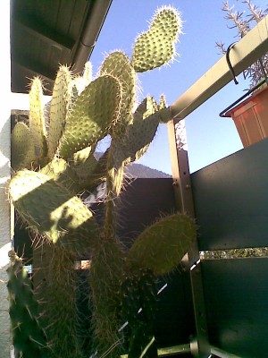 Bild011.jpg