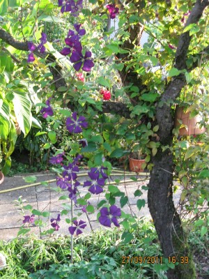 2011_7680.jpg