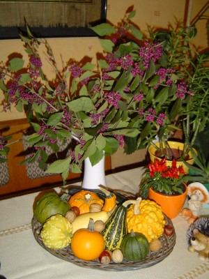 Herbstdeko.jpg