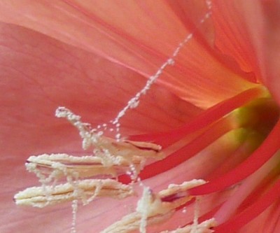 Raetsel 1 - Kopie (640x556).jpg