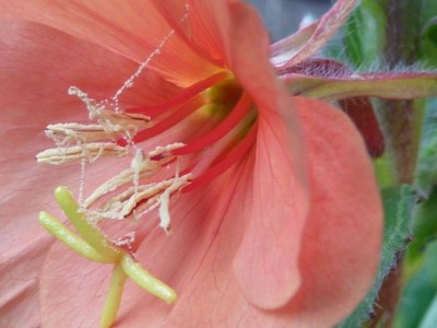 170811 027 - Kopie (640x480).jpg