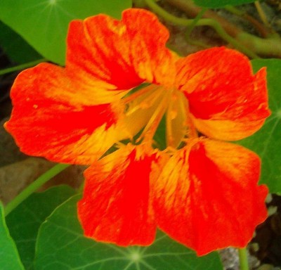 Größenänderung 100D6241.jpg