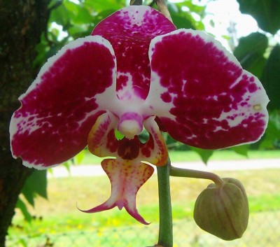 Größenänderung 100D6247.jpg