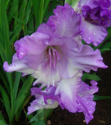 Größenänderung 100D6270.jpg