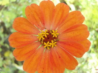 S1030554.JPG
