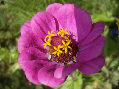S1030553.JPG