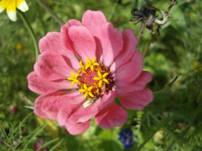 S1030552.JPG