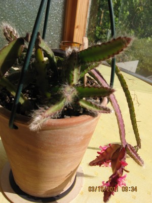 2011_7728.jpg