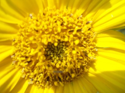 S1030555.JPG