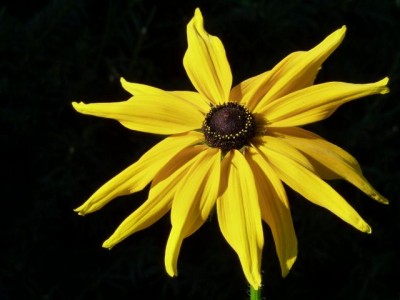 102 - Kopie (640x480).jpg