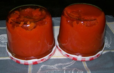 03.10.2011_Püree.jpg
