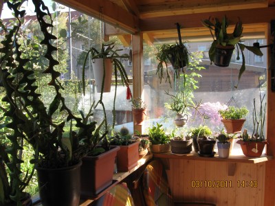 2011_7745.jpg