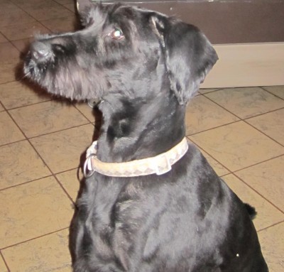 Bild green24 463.jpg