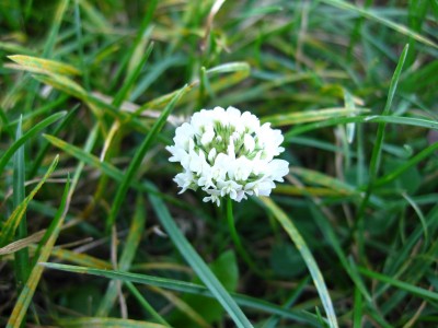 K1600_IMG_1270.JPG