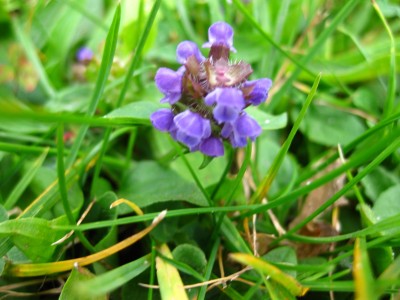 K1600_IMG_1339.JPG
