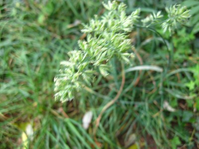 K1600_IMG_1350.JPG