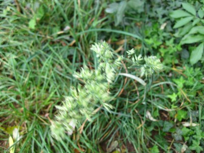 K1600_IMG_1351.JPG