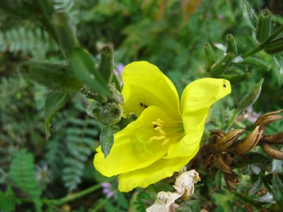 K1600_IMG_1404.JPG